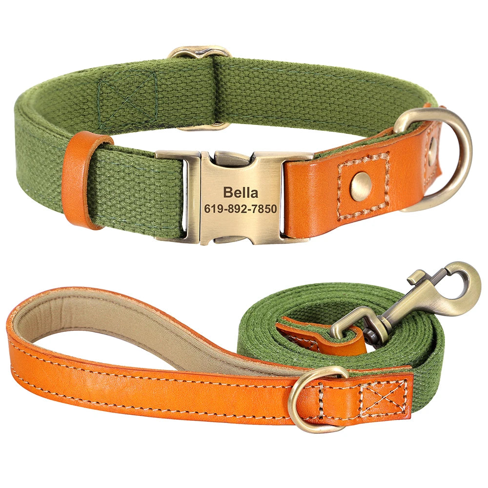 Personalized Collar + Leash: Protection with Elegance