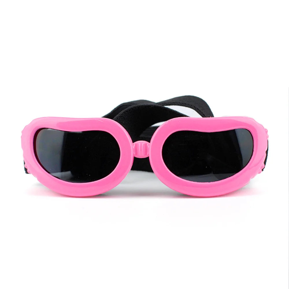 Pet Sunglasses: UV Protection and Style for Your Furry Friend