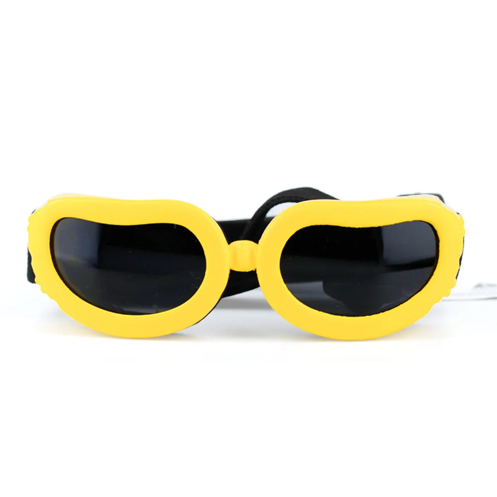 Pet Sunglasses: UV Protection and Style for Your Furry Friend