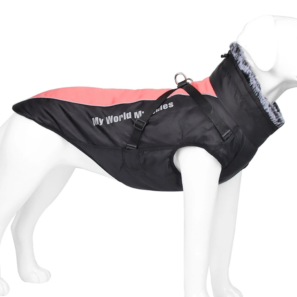 Winter Jacket for Dogs: Comfort, Style, and Total Protection