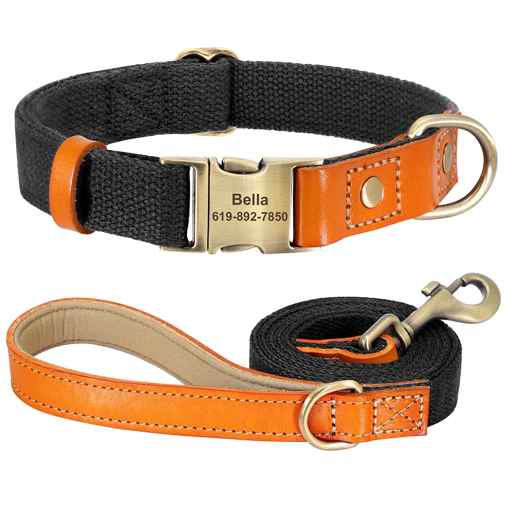 Personalized Collar + Leash: Protection with Elegance